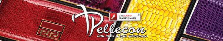 Get Adobe Flash player